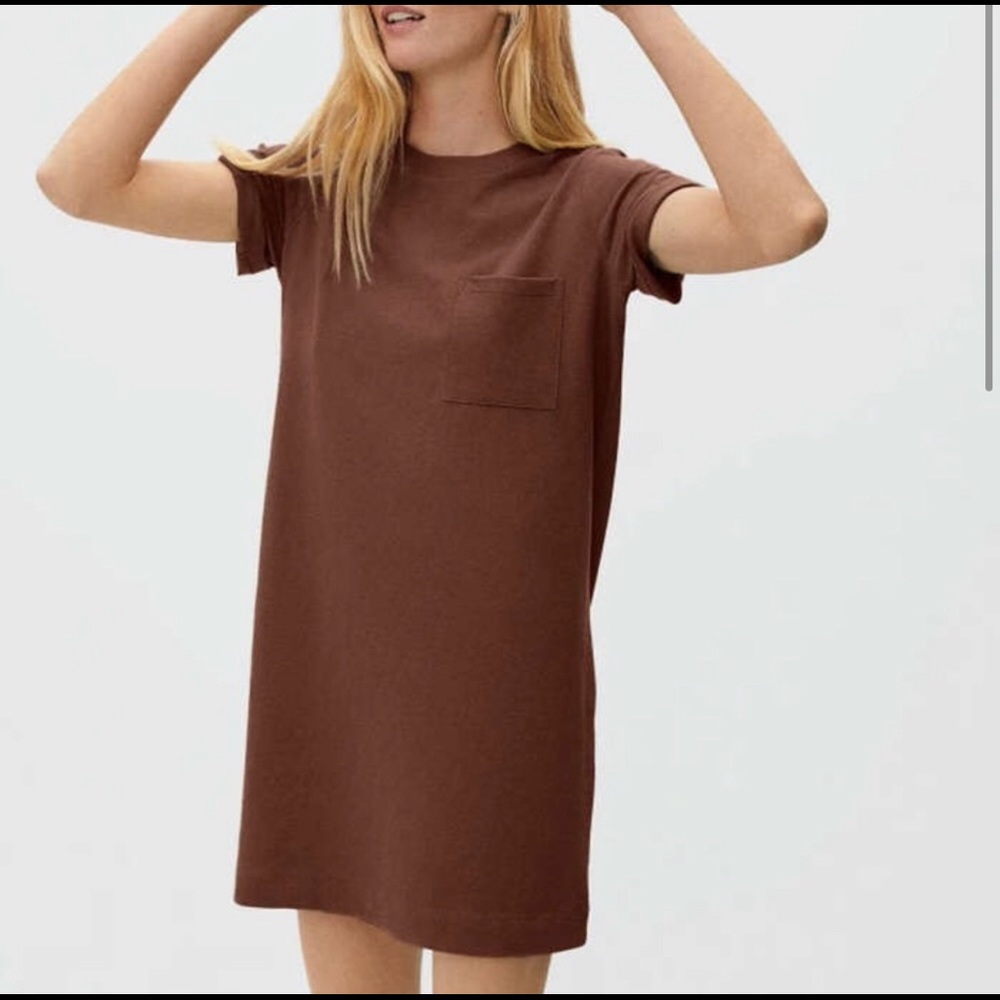 Everlane t-shirt dress
